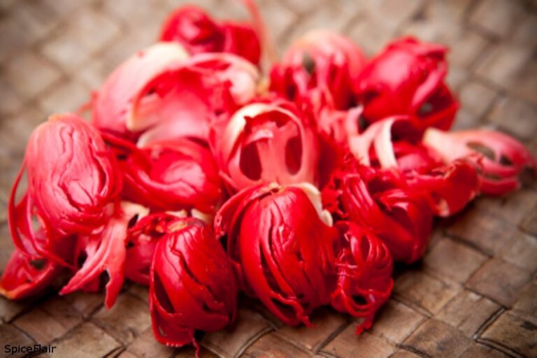 red-special-mace-flower